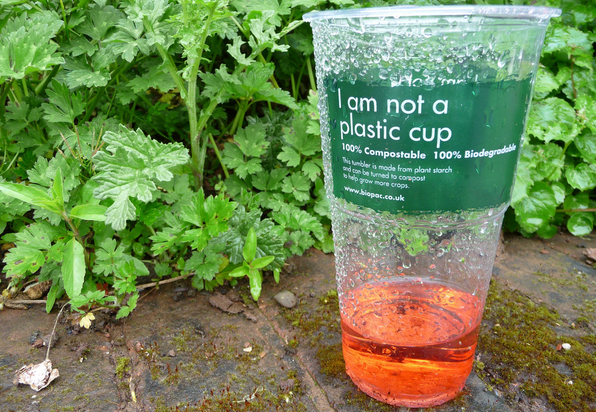 Screen Shot 2019-02-21 at 6.26.15 PM