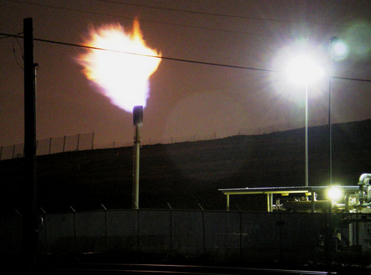 Screen Shot 2019-02-22 at 12.45.35 PM