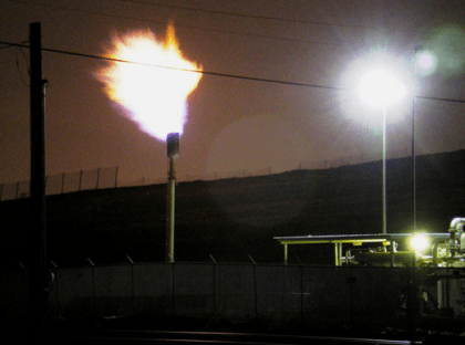 Screen Shot 2019-02-22 at 12.45.35 PM